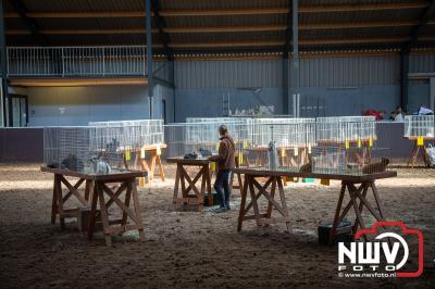 Voorjaarsshow van Kleindierenvereniging Sport Veredelt  - © NWVFoto.nl