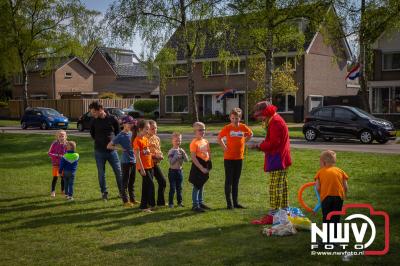 Koningsdag feest grasveld de Singel op 't Harde. - © NWVFoto.nl