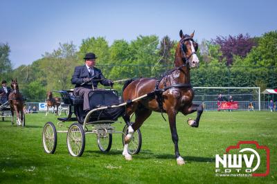 39ste Tuigpaarden en Hackney concours in Doornspijk na twee jaar weer terug onder prachtige omstandigheden. - © NWVFoto.nl
