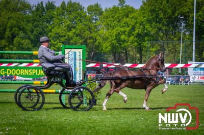 39ste Tuigpaarden en Hackney concours in Doornspijk na twee jaar weer terug onder prachtige omstandigheden. - © NWVFoto.nl