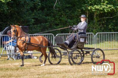 Voor de 75 maal werd de Fokdag en Concours op het Landgoed Zwaluwenburg georganiseerd. - © NWVFoto.nl
