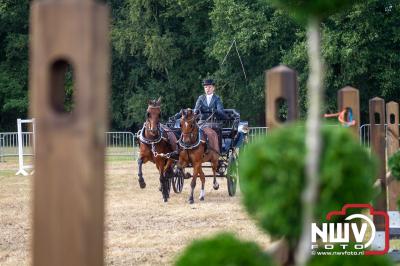 Voor de 75 maal werd de Fokdag en Concours op het Landgoed Zwaluwenburg georganiseerd. - © NWVFoto.nl