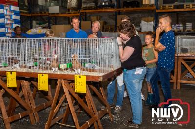 Sport Veredelt jaarlijkse jonge dieren keuring bij Gardenbroek in Oostendorp. - © NWVFoto.nl