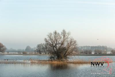 28-02-2016 Ontwaken natuur langs de IJssel tussen Zwolle en De Zande - © NWVFoto.nl