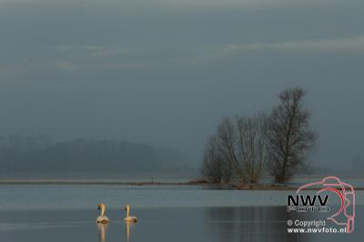 28-02-2016 Ontwaken natuur langs de IJssel tussen Zwolle en De Zande - © NWVFoto.nl