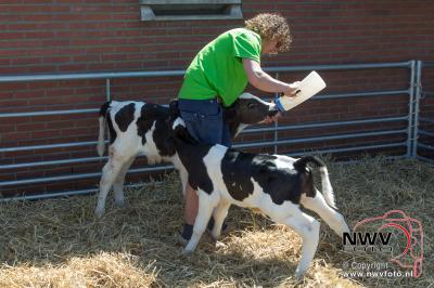 Campina boerderijdag bij fam. Krooneman op 't Harde. - © NWVFoto.nl