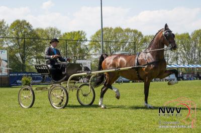 Tuigpaardenconcours voor de 35 ste maal gehouden in Doornspijk onder leiding van Henk en Mech Fikse - © NWVFoto.nl
