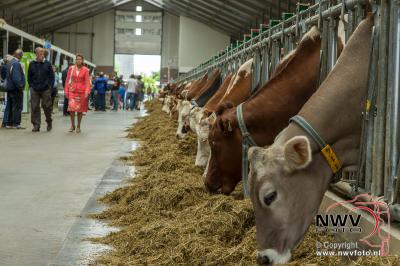 Open dag bij biologisch melk en vleesveebedrijf Ko-Kalf in Doornspijk  - © NWVFoto.nl