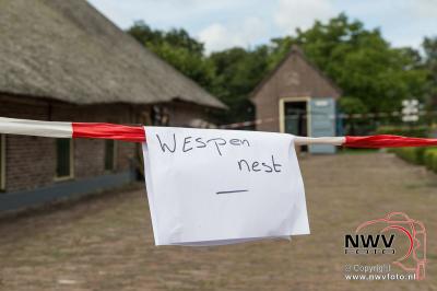 Oogstfeest en fokveedag rond  de museumboerderij in Oldebroek. - © NWVFoto.nl