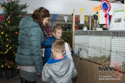 Kleindieren tentoon stelling van Sport veredelt bij van de Put in Oosterwolde. - © NWVFoto.nl
