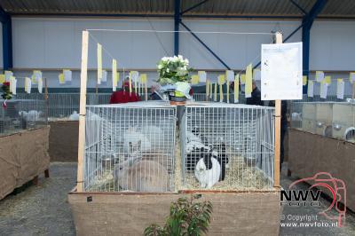 Kleindieren tentoon stelling van Sport veredelt bij van de Put in Oosterwolde. - © NWVFoto.nl