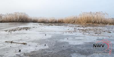 Winter in de natuur - © NWVFoto.nl