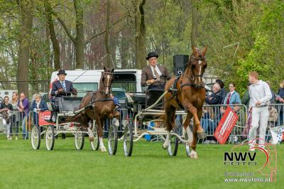 36 ste Tuigpaardenconcours  in Doornspijk. - © NWVFoto.nl