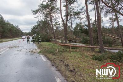 Wind richt veel schade aan op 't Harde - © NWVFoto.nl
