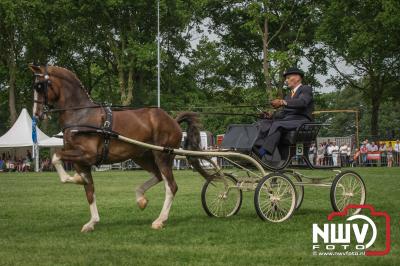 37e Tuigpaardenconcours Doornspijk. - © NWVFoto.nl