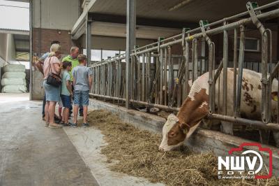 Onder het motto “Lekker naar de Boer’ organiseerde biologisch rundveebedrijf Ko-Kalf op zaterdag 16 juni 2018 weer de jaarlijkse Open Dag. - © NWVFoto.nl