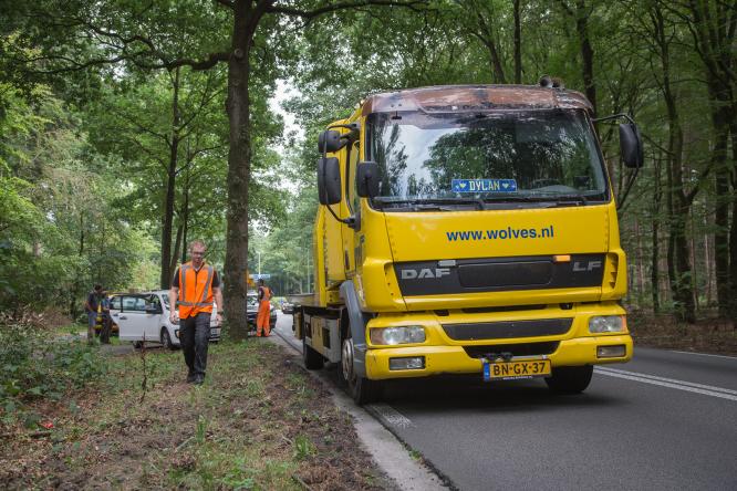 Auto beland door kopstaart botsing tegen boom langs Soerelseweg. - © NWVFoto.nl