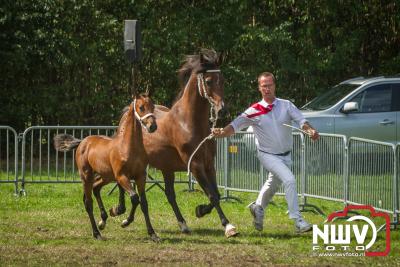 Fokdag en Concours 2018 op landgoed Zwaluwenburg 't Harde. - © NWVFoto.nl