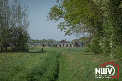 Natuur op landgoed Schouwenburg 't Harde. - © NWVFoto.nl
