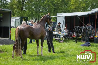 38 ste Tuigpaardenconcours in Doornspijk onder ideale omstandigheden gehouden. - © NWVFoto.nl