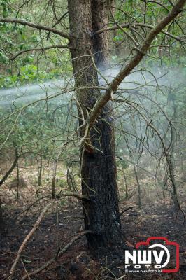 Wandelaar voorkomt door snel handelen dat er weer een grote bosbrand op 'tHarde zou ontstaan. - © NWVFoto.nl