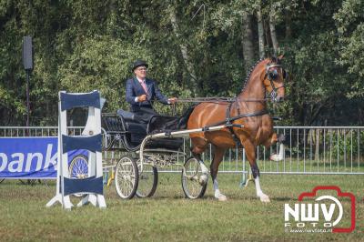 Fokdag en Concours 2019 op landgoed Zwaluwenburg 't Harde. - © NWVFoto.nl
