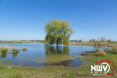 Mooi stuk natuurgebied gekeerd door de aanleg van het Revediep. - © NWVFoto.nl
