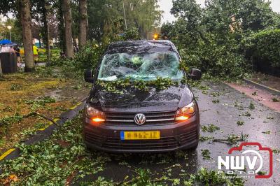 Boom valt om op Munnikenweg na hoosbui boven het ‘t Harde en raakt passerende bedrijfsauto. - © NWVFoto.nl