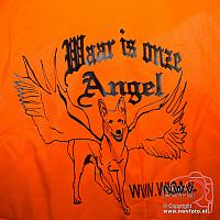 20151030 Div44 C0004