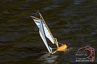 20130615 Em24 D0002