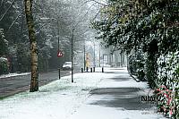 20160214 Nat06 B0002