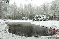 20160214 Nat06 B0040