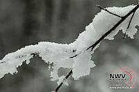 20160214 Nat06 B0042