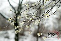 20160214 Nat06 B0062