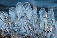 20130324 Nat12 C0004