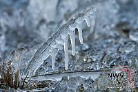20130324 Nat12 C0005