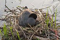 20130515 Nat20 G0003