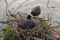 20130515 Nat20 G0004
