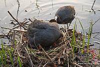 20130515 Nat20 G0006
