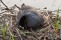 20130515 Nat20 G0008