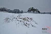 19122010_Nat 50_1600.JPG