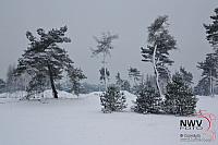 19122010_Nat 50_1601.JPG