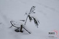 19122010_Nat 50_1602.JPG