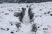 19122010_Nat 50_1603.JPG
