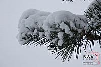 19122010_Nat 50_1604.JPG