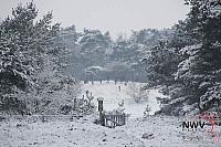 19122010_Nat 50_1606.JPG