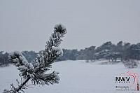 19122010_Nat 50_1607.JPG