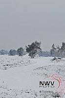 19122010_Nat 50_3025.JPG