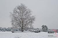 19122010_Nat 50_3026.JPG