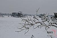 19122010_Nat 50_3027.JPG
